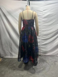 Vue arrière montrant des imprimés floraux rouges et bleus sur une robe longue en organza
