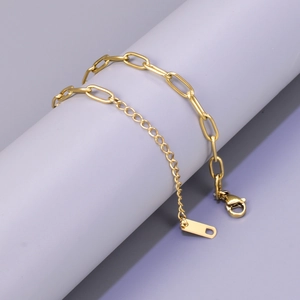 Minimalist 18K gold-plated titanium paperclip chain bracelet with lobster clasp and tag