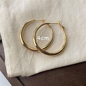 Fashion Hoop Earrings For Women With 925 Sterling Silver Earring Post Alloy Metal Geometric Minimalist Style Jewelry