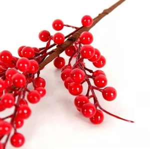 Macro detail of glossy red Christmas berries with realistic brown branch stems