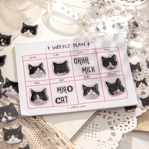 Cute cat themed weekly planner stickers with black and white kitty designs for journaling