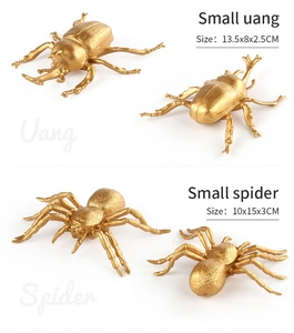 Modèles dorés de scarabée et d'araignée en plastique avec textures réalistes pour enfants