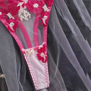 Detailed close-up of rose red and white floral lace embroidery on sheer mesh panties