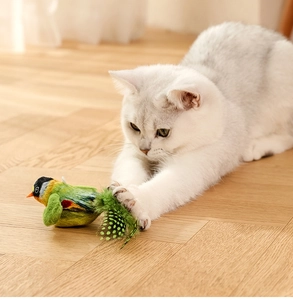 Azione di un gatto British Shorthair che salta su un giocattolo piumato a forma di uccello vero
