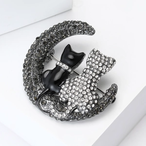 Detail of elegant alloy cat on crescent moon brooch with black and clear rhinestones