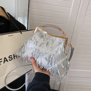 Detail of silver evening bag with sparkling sequins and fringes on a metal frame