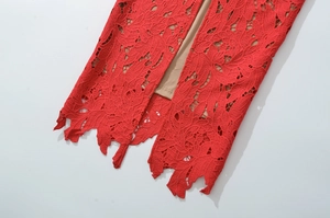 Detailed close-up of red lace fabric with intricate hollow patterns and beige lining