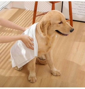 Detail showing absorbent disposable pet towel used on golden retriever after bathing