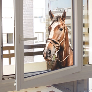 Creative 3D horse head wall sticker for window decoration showing a realistic brown horse
