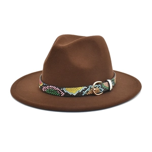 Detailed shot of brown fedora hat with multi-colored snakeskin band and gold buckle