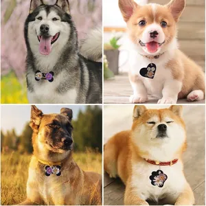 Gepersonaliseerde penningen met droogbloemen in bot-, hart- en pootvormen voor diverse honden