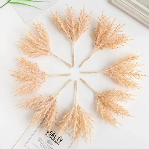 Detailed overhead view of eight fluffy beige dried pampas grass stems for DIY decor