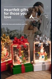Boules à neige de Noël lumineuses avec Père Noël et bonhomme de neige en boîte cadeau