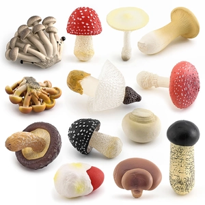 Set of 12 realistic mushroom figurines including fly agaric and matsutake models