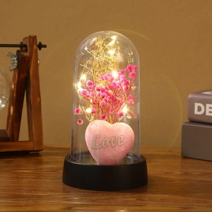 Preserved pink baby's breath flower in glass dome with warm LED lights and Love heart