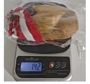 Logistics photo showing the weight of a Christmas gnome doll on a digital scale at 142g