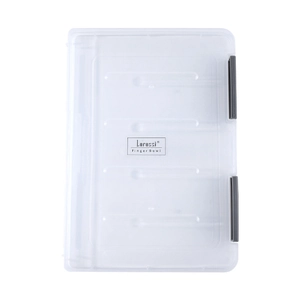Professional transparent plastic nail art storage box with dustproof lid and snap closure