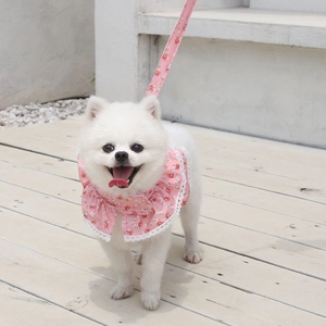 Close-up of pink floral pet harness set with white lace trim for dogs and cats