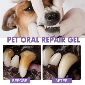 Gel per riparazione orale di animali domestici con risultati prima e dopo la pulizia denti