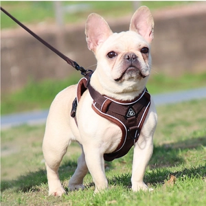 Breathable Mesh Dog Harness And Leash Adjustable Reflective Safety Vest For Puppy Small Medium Dogs Cats Outdoor Walking
