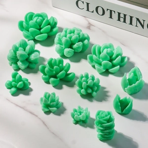 DIY siliconen vormen voor 12 diverse vetplanten, creatieve kaarsen en ornamenten