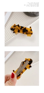 Macro shot showing the metallic duckbill clip and tortoiseshell cat hair accessory details