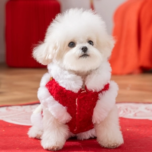 Gilet rosso festivo per cani con bordo in ecopelliccia bianca e caldo tessuto operato