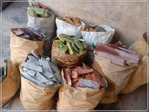 Bulk raw abalone shell stones in large woven bags stored in an industrial warehouse