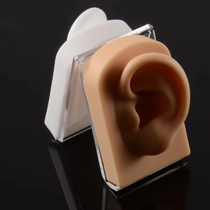 Silicone ear models in flesh and white tones with clear acrylic display stands