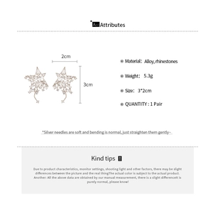 Détail montrant les dimensions et boucles d'oreilles étoile avec strass