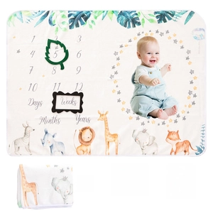 Detail der Baby Meilenstein Decke mit Dschungeltieren und Fotorequisiten Set
