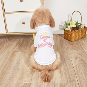 Detail of white mesh pet t-shirt featuring pink Queen of Everything print and yellow crown