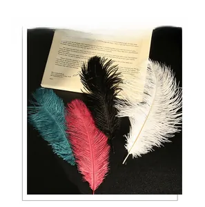Detail of colorful fluffy ostrich feathers for DIY floral bouquets and home decor