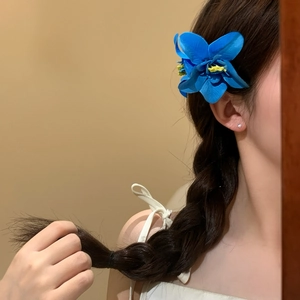 Fermaglio per capelli con fiori blu vibranti indossato su un'acconciatura a treccia.