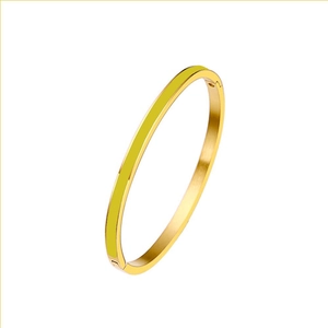 Macro side view of golden titanium steel bangle featuring a yellow enamel inlay and hinge