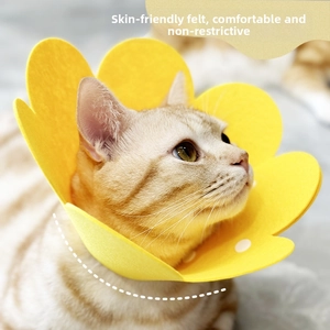 Macro detail of sunflower-shaped yellow felt pet recovery collar with adjustable snaps