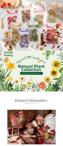 Detail of vintage botanical PET stickers featuring waterproof plant and mushroom designs