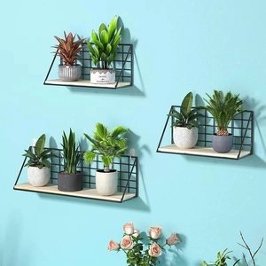 Nordic wall-mounted iron shelves with wooden base featuring potted plants on blue wall