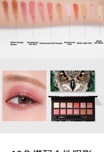 Detailed 12-color eyeshadow palette with arm swatches and professional eye makeup results