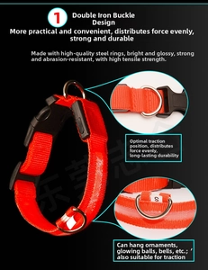Détail du collier LED rouge pour chien avec double anneau en D et boucle robuste
