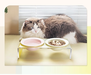 Modern acrylic pet feeding station with dual ceramic bowls for water and dry food