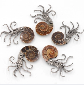 Detailed close-up of octopus brooches with natural ammonite fossils in silver metal
