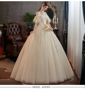 Details des champagnerfarbenen Brautkleids mit Spitzenstickerei und Paillettenbesatz