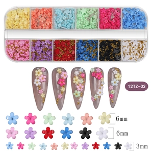12-grid nail art kit featuring colorful 3D resin flowers and mixed size metal beads