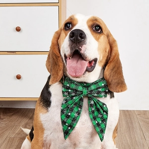 Close-up of beagle wearing a green and black plaid dog bowtie with snowflake patterns