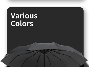 Close-up of the black automatic umbrella canopy top with Various Colors text on gray background
