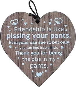 Funny heart-shaped wooden friendship pendant with a humorous quote and black string hanger