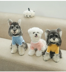 Three dogs wearing colorful basic cotton pet sweatshirts on a cozy beige sofa