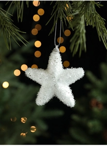 Sparkling white star Christmas tree ornament with silver hanging string on pine branch