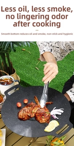 Close-up of Maifan stone non-stick grill pan searing lamb chops and vegetables outdoors